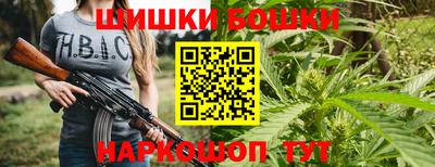 стаф Краснодар