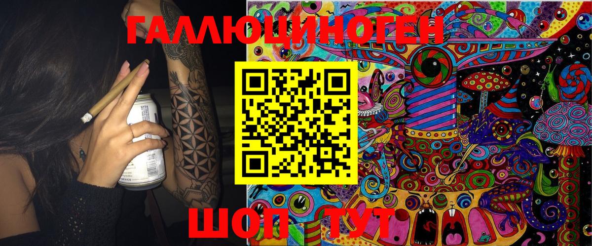 Галлюциногенные грибы Psilocybe Кириши